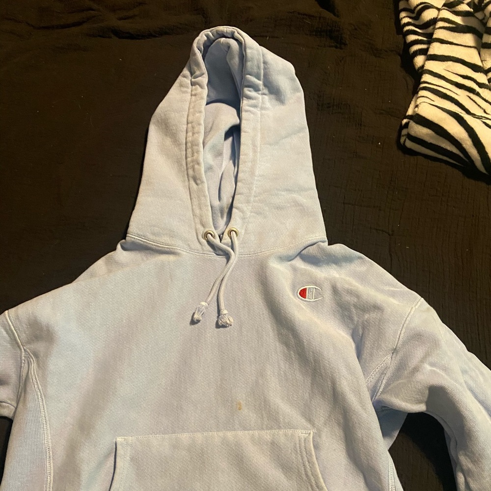 cropped champion hoodie